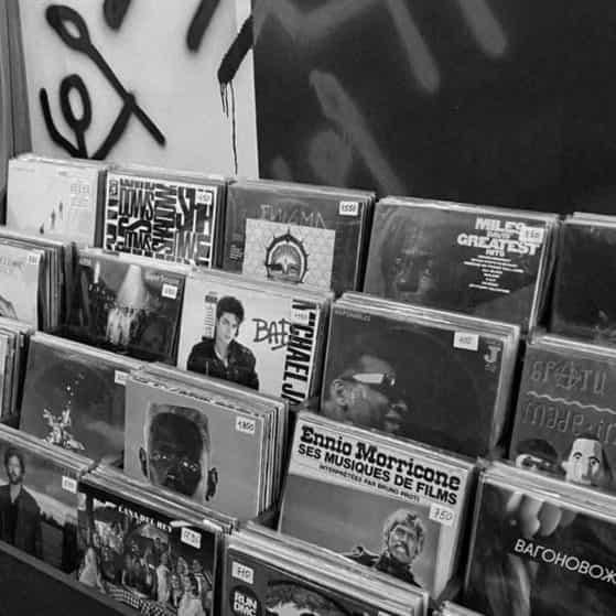 "Riotborne Dynasty" Beat Mafia Trap 115 beat mafia trap 115 f 152bpm 808 mafia trap beat mafia music aggressive trap beat mafia trap beat best gangster rap