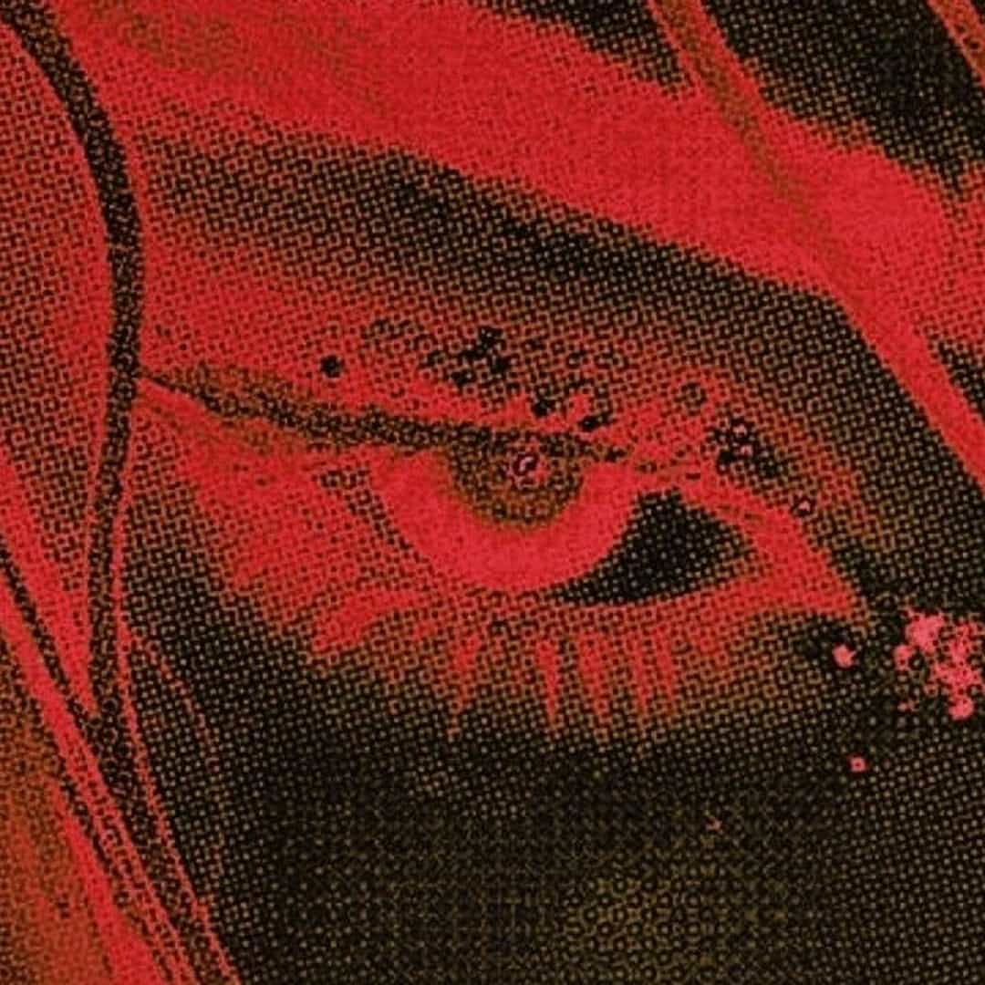 “Silent Blood Ritual” Beat Mafia Trap 149