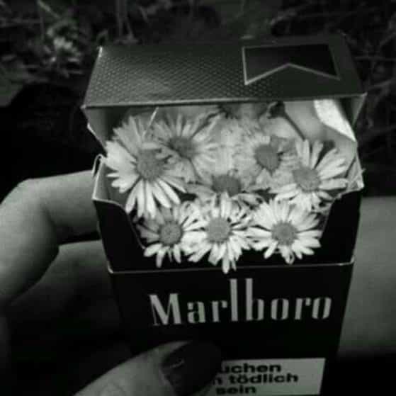 "Wicked Cartel" Beat Mafia Trap Vol2 091 beat mafia trap vol2 091 dm 162bpm dark mafia type trap type beat type beat future beat type latin mafia trap best mafia music future type beat