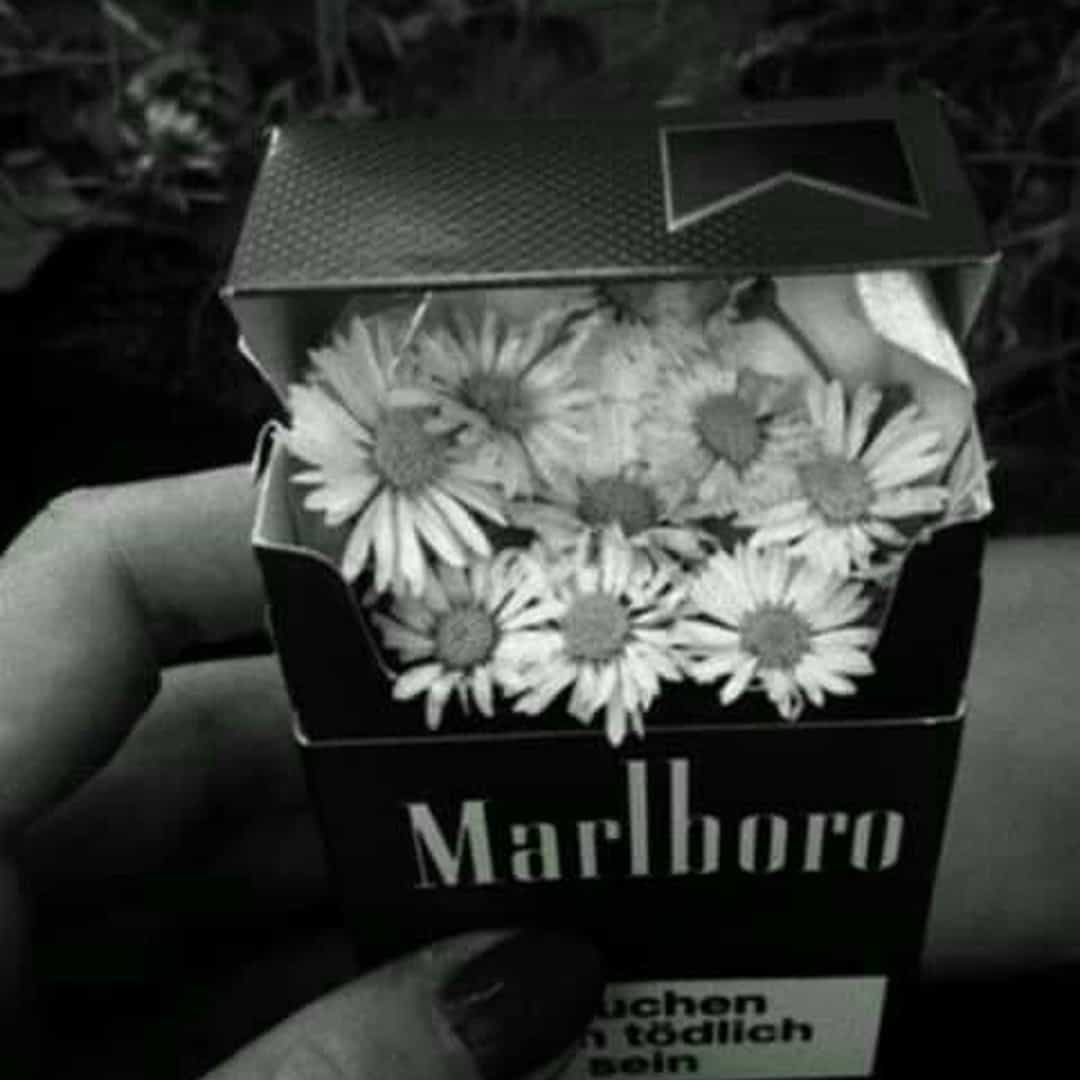 “Wicked Cartel” Beat Mafia Trap Vol2 091