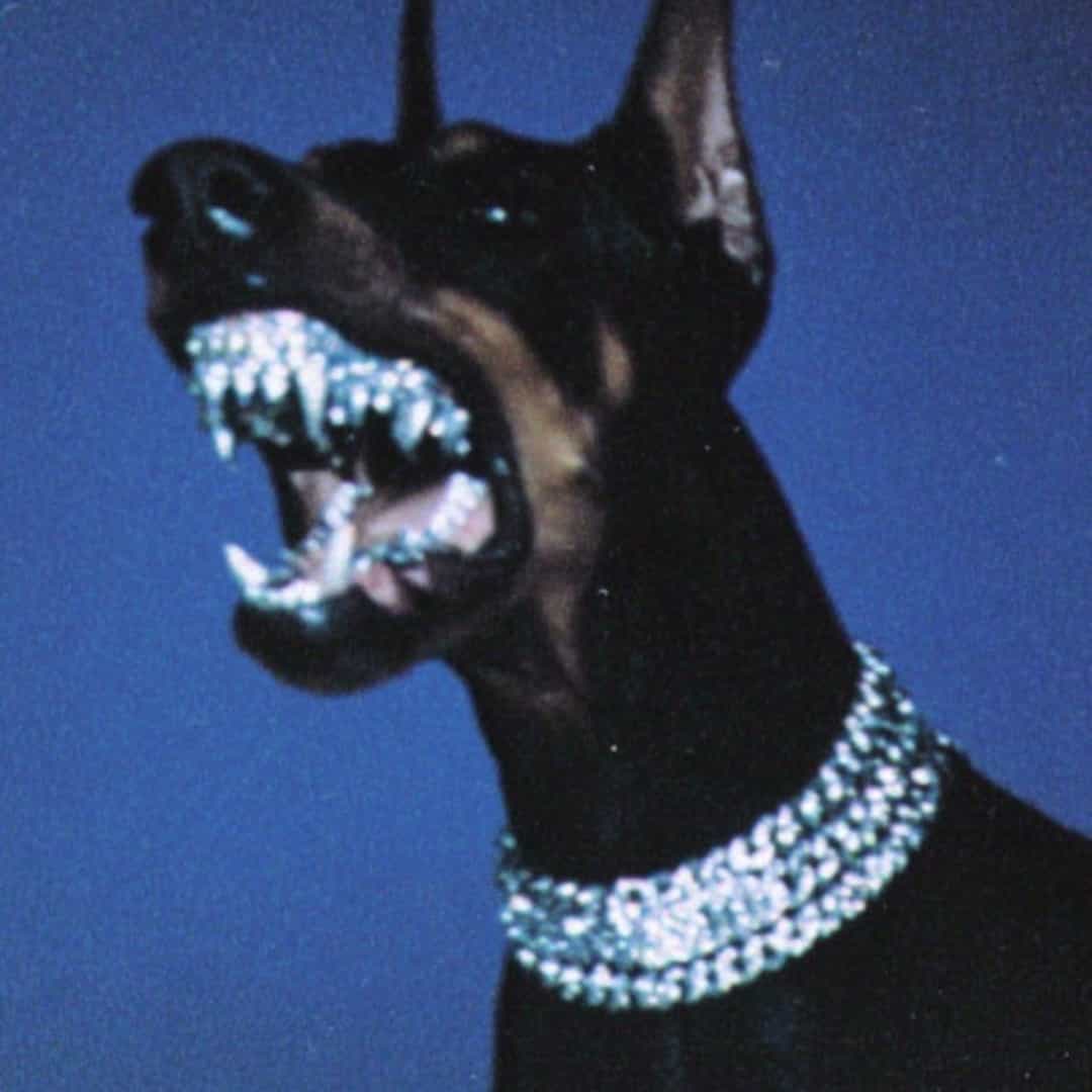 “Bronx Executioner” Beat NY Drill 049